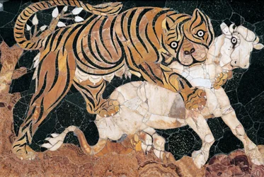Tiger greift ein Kalb an
